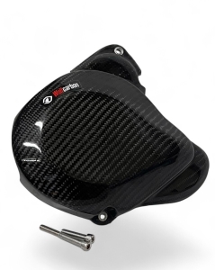 Carbon Ignition Guard RIEJU 300 MR 2025-26 